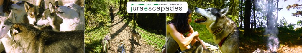 CHIENS DE TRAINEAU - jura-escapades.ch