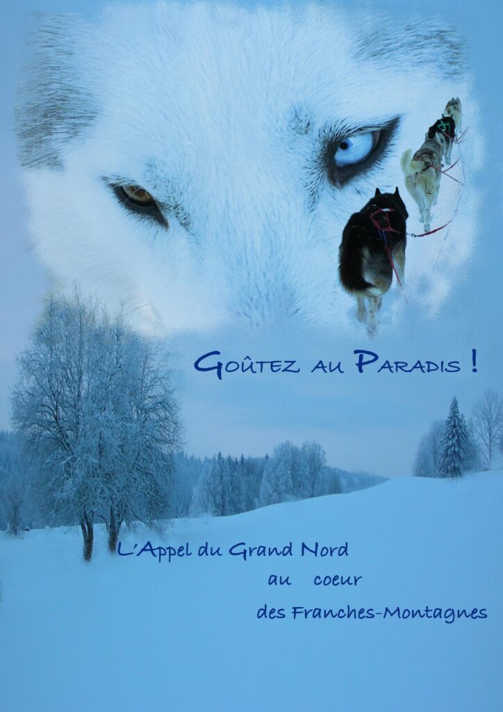 6577325 Affiche Traineau site