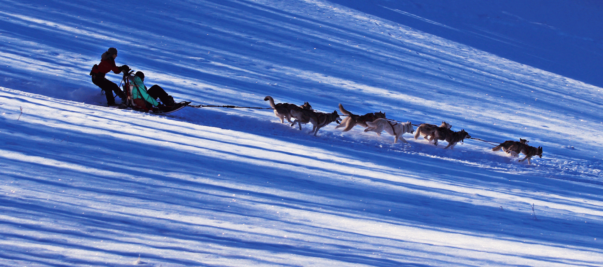 Appel du Grand Nord bandeau enbas