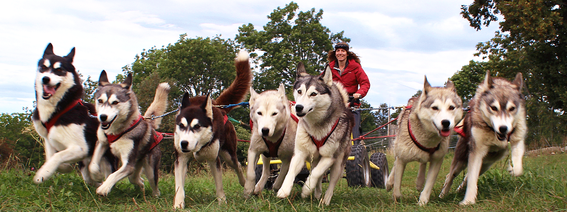 Husky evasion nomade photo ajoutee