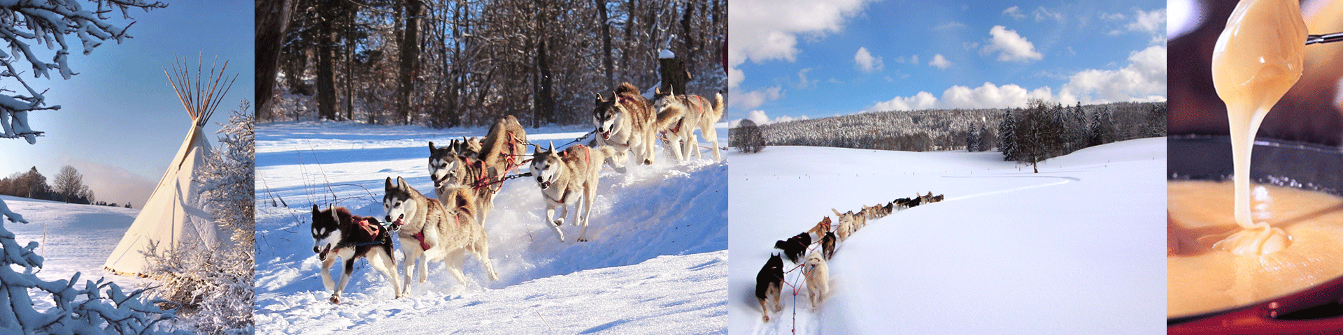 Page Hiver bandeauOK