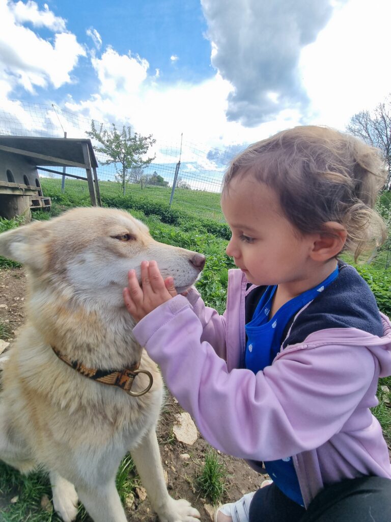 Bain meute petit enfant 11.05.2025 C.Rendina