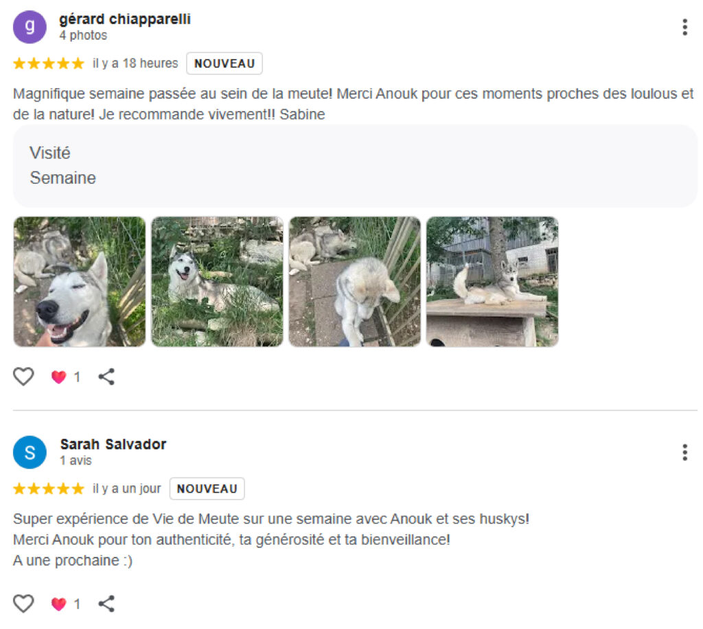 Avis Google