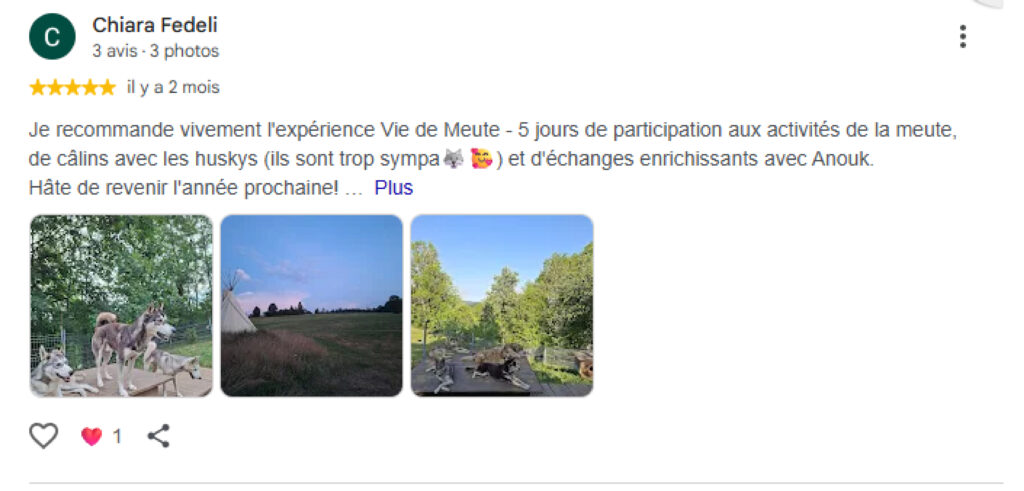 Avis 3 Google