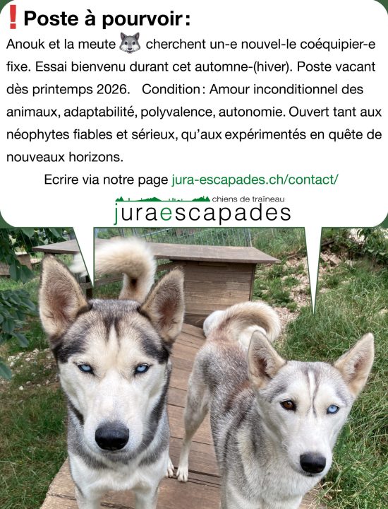 Poste à pourvoir