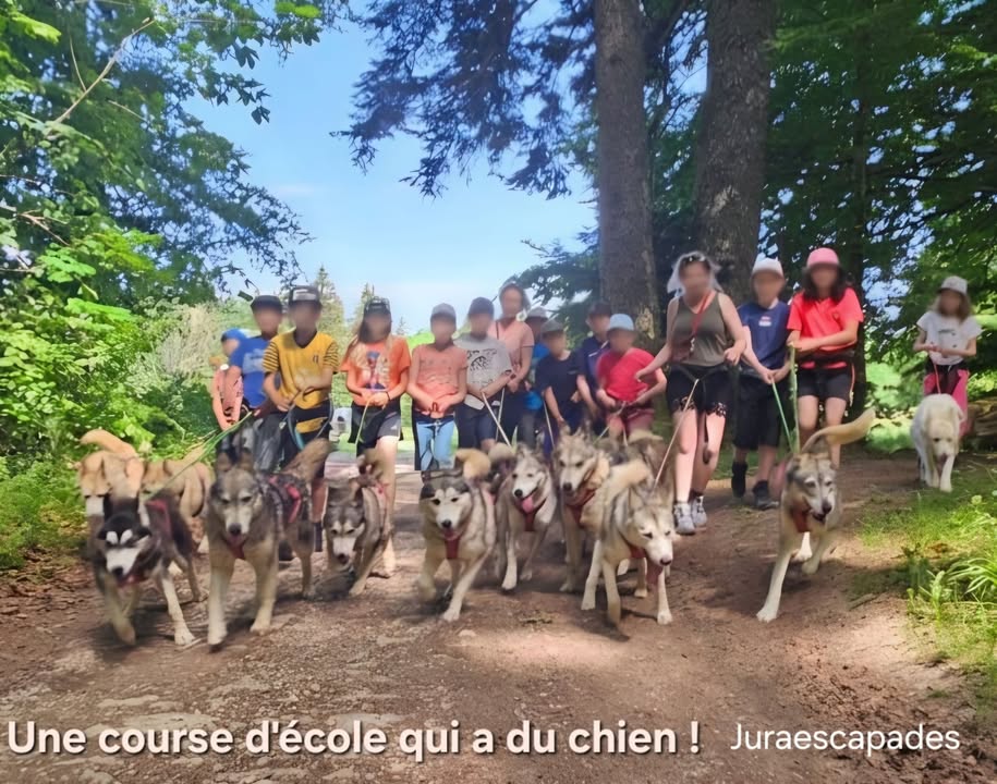 Jura escapades - la meute raconte