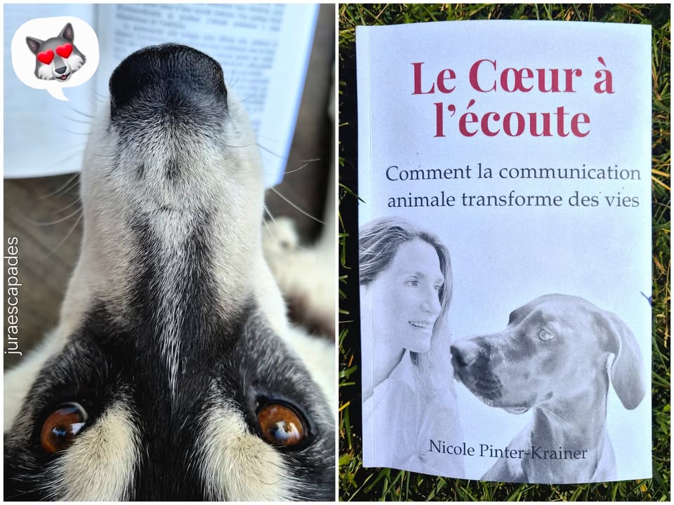 Jura escapades - la meute raconte