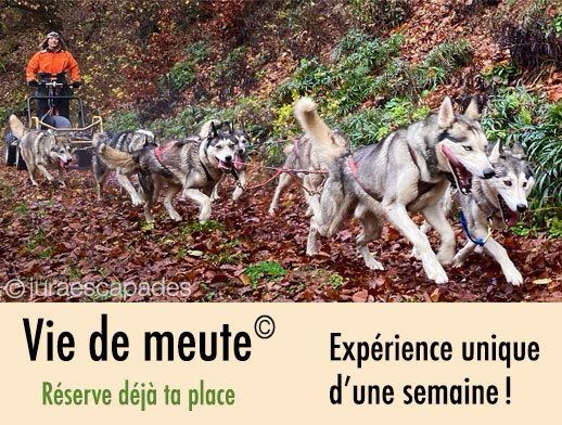 Jura escapades - la meute raconte