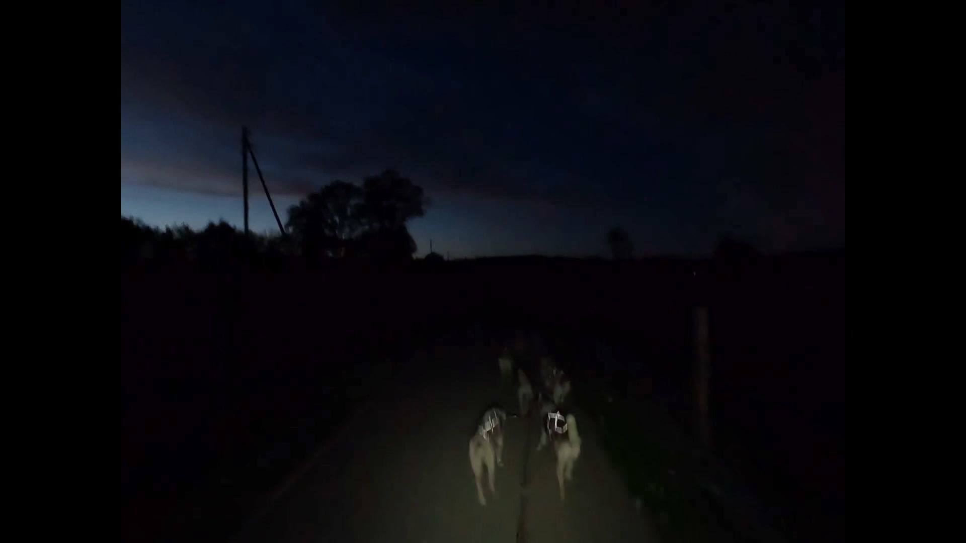 Jura escapades - la meute raconte