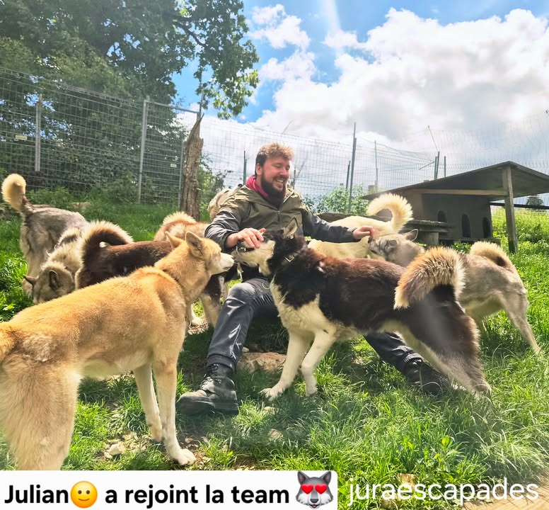 Jura escapades - la meute raconte